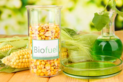 South Hampstead biofuel availability